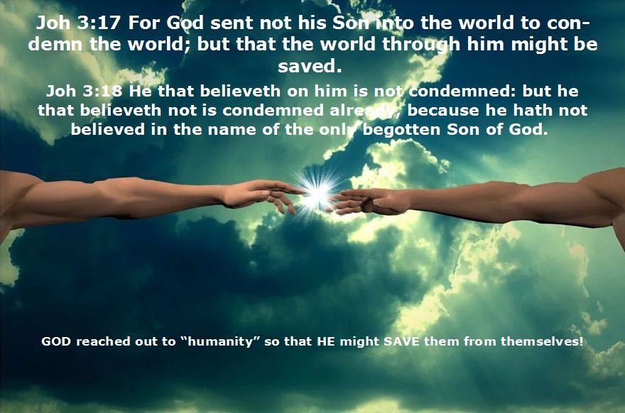 The DIVINE Human FAMILY