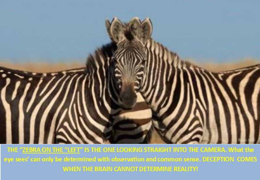 DECEPTION!